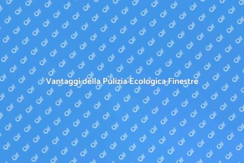 Pulizia Ecologica delle Finestre