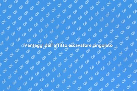 Affitto escavatore cingolato vantaggioso