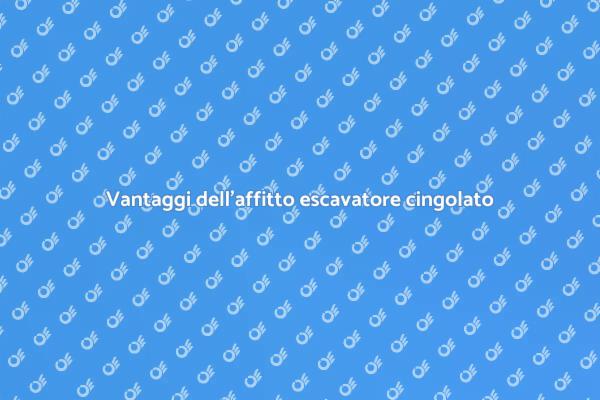 Escavatore cingolato: affittalo ora!