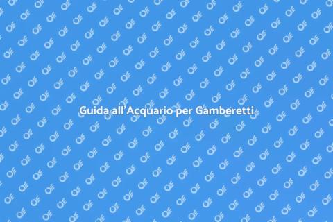 Acquario Ideale per Gamberetti