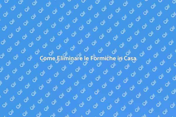 Liberati delle Formiche Oggi Stesso!
