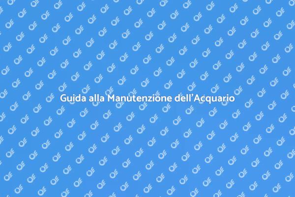 Cura Sostenibile per il Tuo Acquario