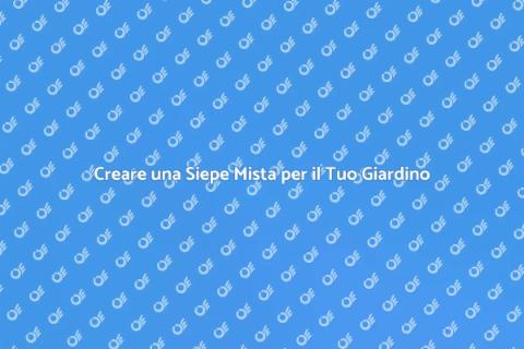 Siepe Mista: Guida al Giardino Perfetto