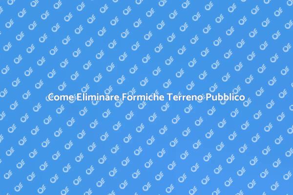 Disinfestazione Formiche: Guida Pratica
