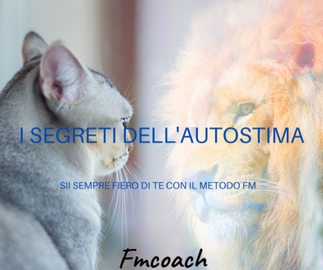 Fmcoach - Foto 7