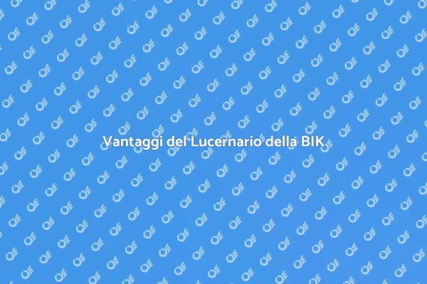 Come Installare un Lucernario BIK