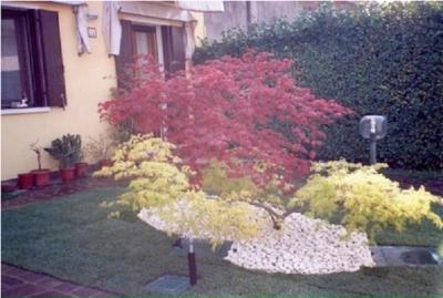 Agri Garden  - Foto 8