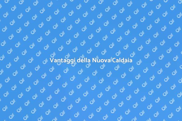 Caldaia Nuova: Comfort e Risparmio