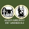 Allevamento Dobermann e Basset Hound De' Andreoli