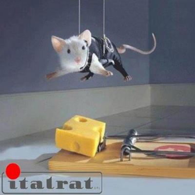 Italrat  - Foto 4