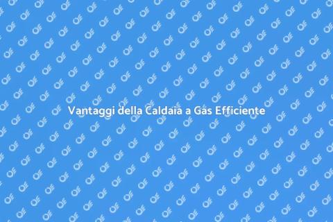 Caldaia a Gas ad Alta Efficienza