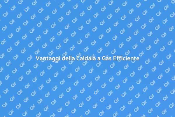 Calore e Risparmio con una Caldaia Efficiente