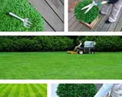 Giardinaggio Green Heaven  - Foto 7