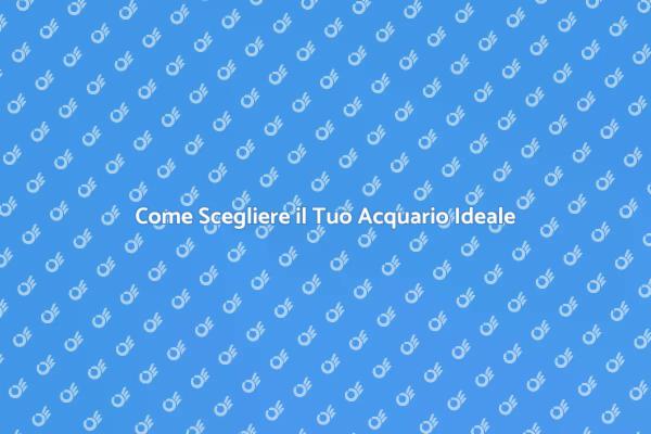 Acquario: La Tua Guida Completa