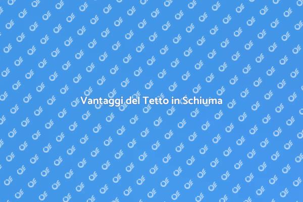 Tetto in Schiuma: Innovazione per Casa
