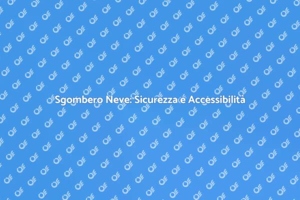 Sgombero Neve: Rendi Sicuri i Tuoi Spazi