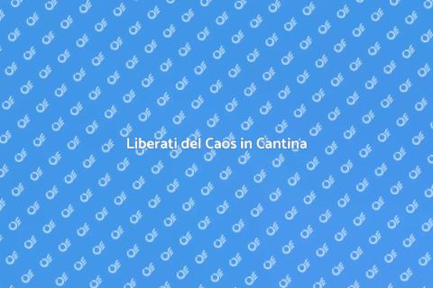 Svuotare Cantine Senza Problemi