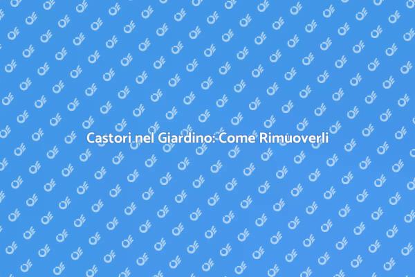 Gestisci i Castori: Soluzioni Efficaci