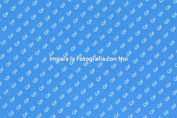 Trasforma la Tua Passione in Arte