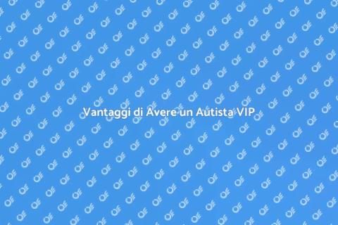 Autista per Servizi di Trasporto VIP