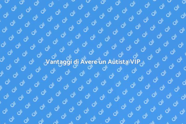 Viaggia con Stile: Autista per VIP