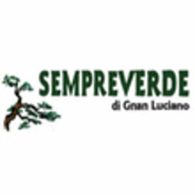 Sempreverde  - Foto 1