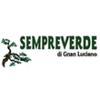 Sempreverde 