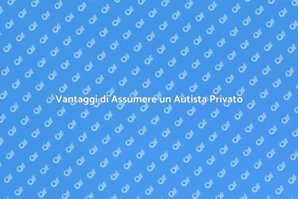 Guida alla Scelta di un Autista Privato