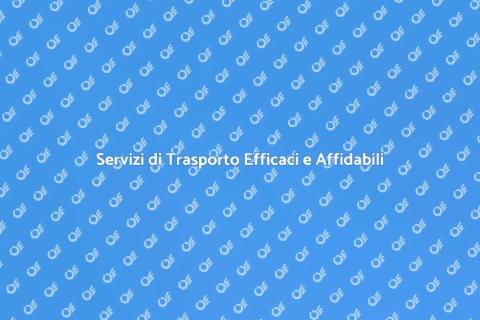 Trasporto di Qualità e Convenienza