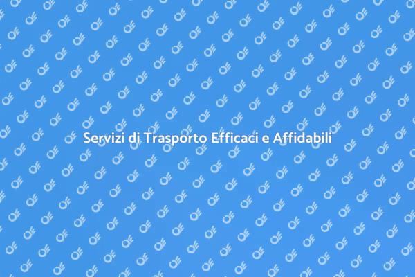 Trasporto Efficiente e Professionale