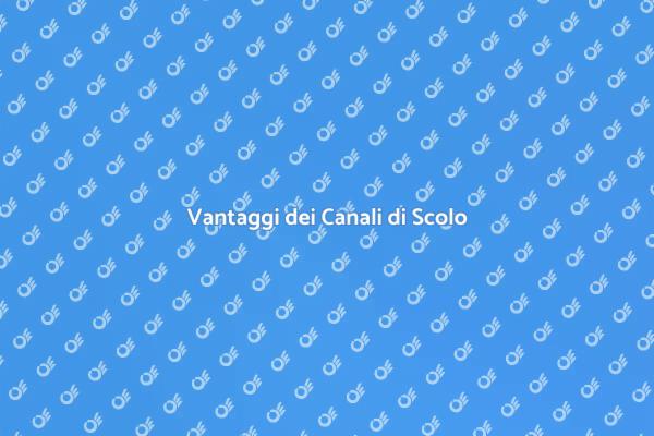 Funzionalità dei Canali di Scolo