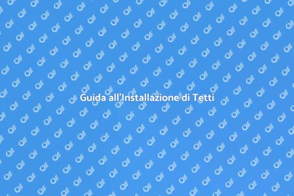 L'Arte di Installare Tetti