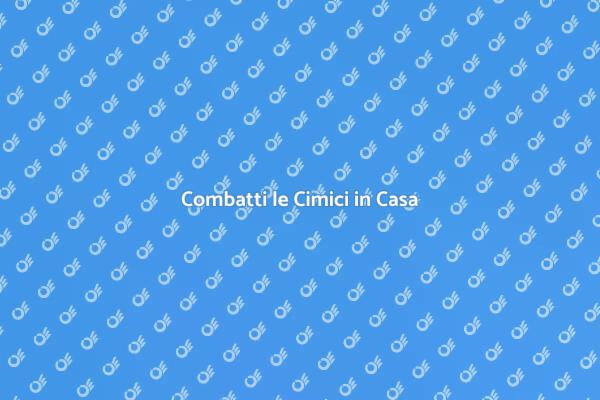 Efficaci Soluzioni Anti Cimici