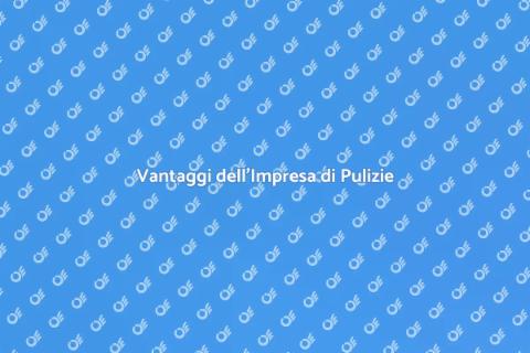 Impresa di Pulizie: Assistenza Essenziale