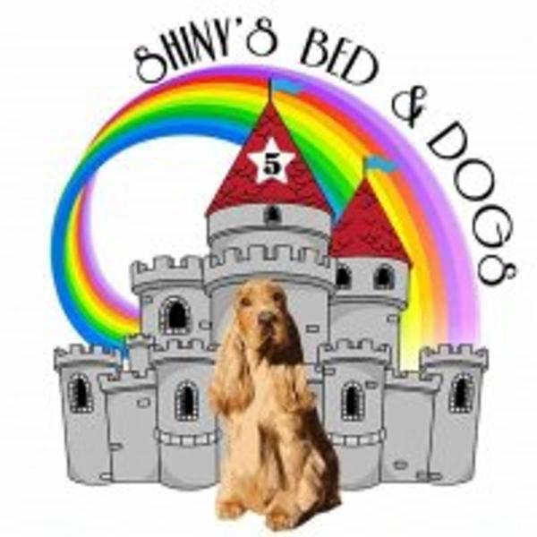 SHINY S BED AND DOGS - Foto 1