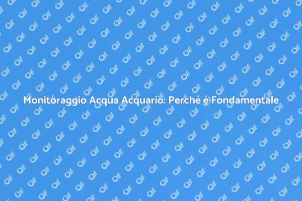 Test dell'Acqua: Guida Essenziale per Acquari