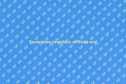 Affitto escavatore cingolato per progetti
