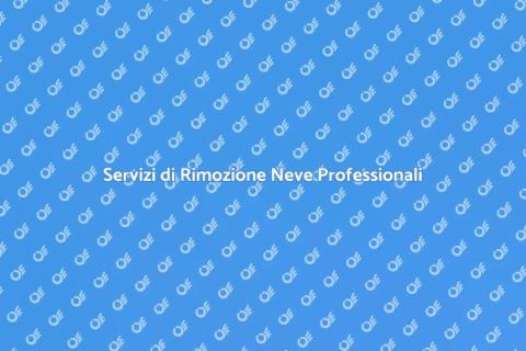 Rimozione della Neve: Servizi Efficaci