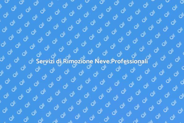 Affronta l'Inverno con Rimozione Neve