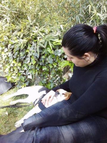 dogsitter, educatore cinofilo - Foto 3