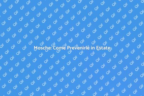 Disinfestazione Preventiva per Mosche