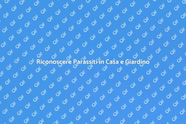 Come Diagnosticare i Parassiti in Casa