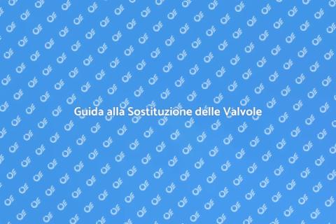 Sostituire le Valvole del Radiatore