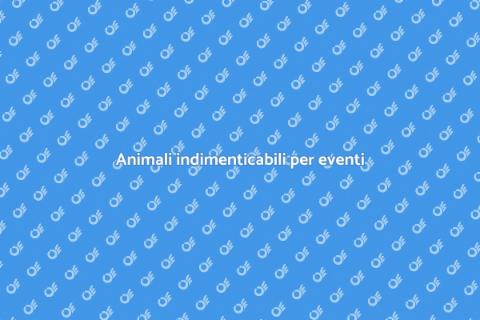 Allenamento animali per cerimonie