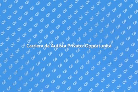 Essere un Autista Privato Professionale