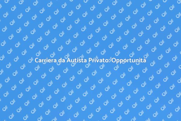 Diventa un Autista Privato di Successo