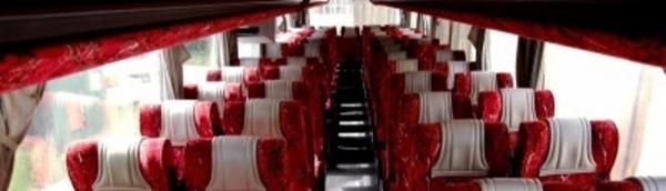 Lollibus  - Foto 6