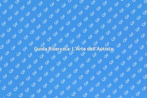 Essere un Autista Privato Professionale