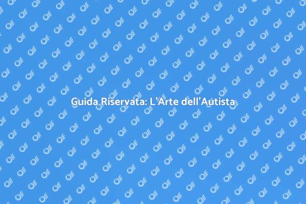 Autista Privato: Riservatezza e Professionalità