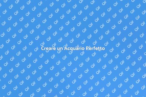 Acquario Equilibrato: Guida Essenziale